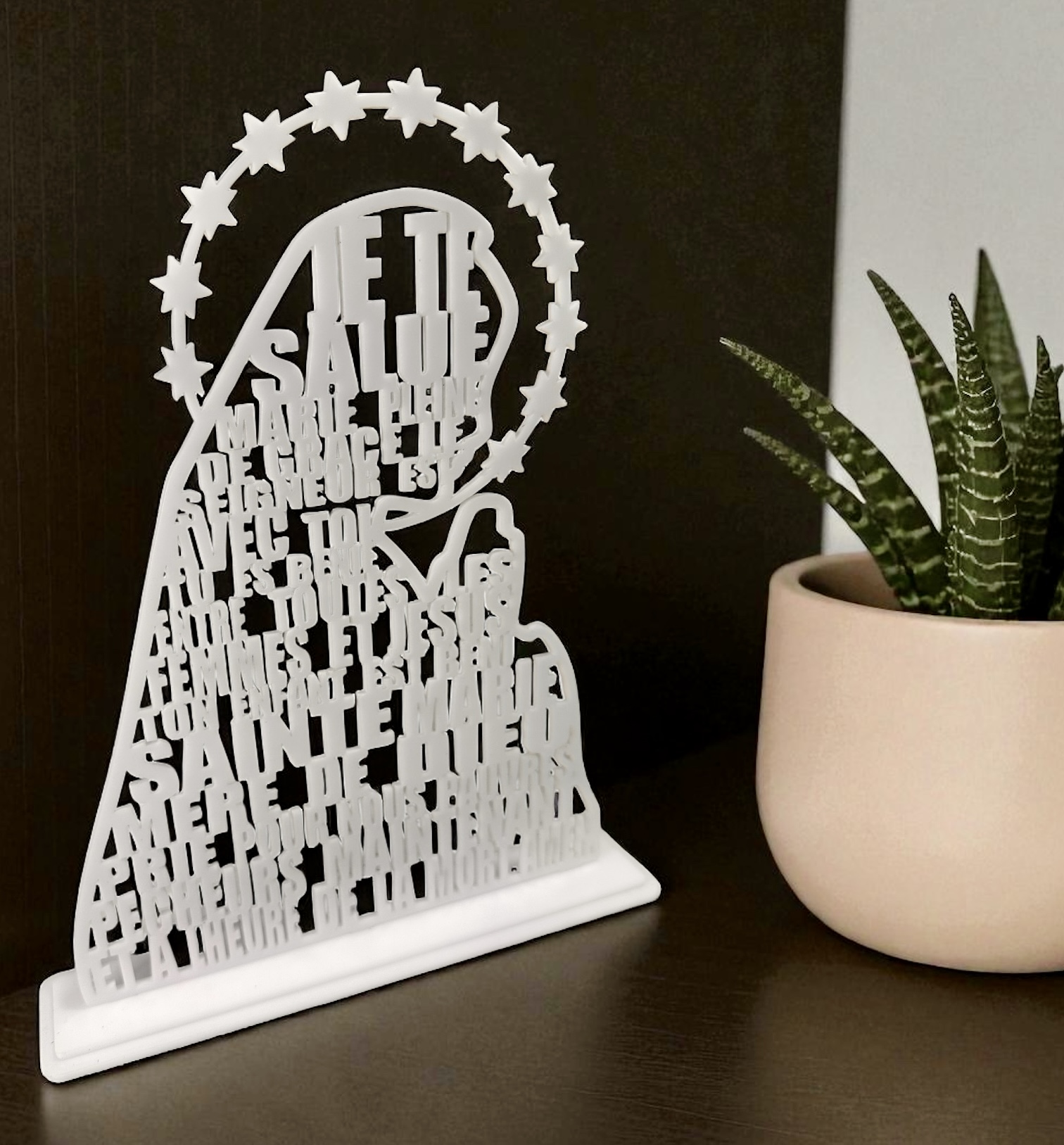 Photoroom_20251122_103427