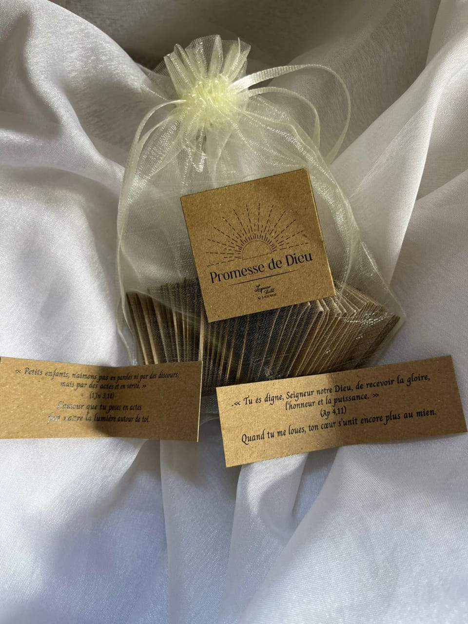 WhatsApp Image 2025-10-21 at 20.58.50